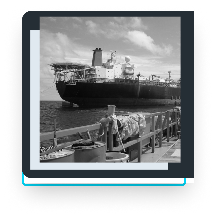Navio Shark Oil Solutions